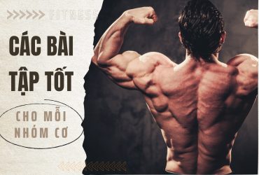 Các bài tập tốt nhất cho từng nhóm cơ