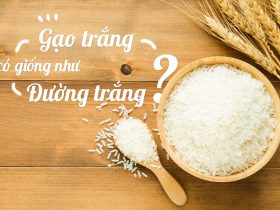 Gạo trắng có giống đường trắng không