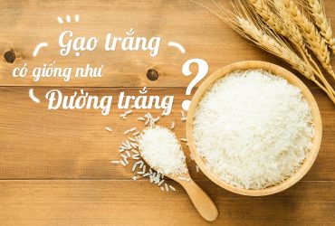 Gạo trắng có giống đường trắng không