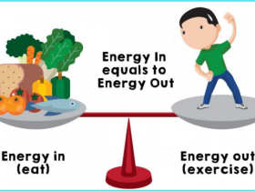 Cân bằng giữa năng lượng nạp vào và năng lượng tiêu thụ