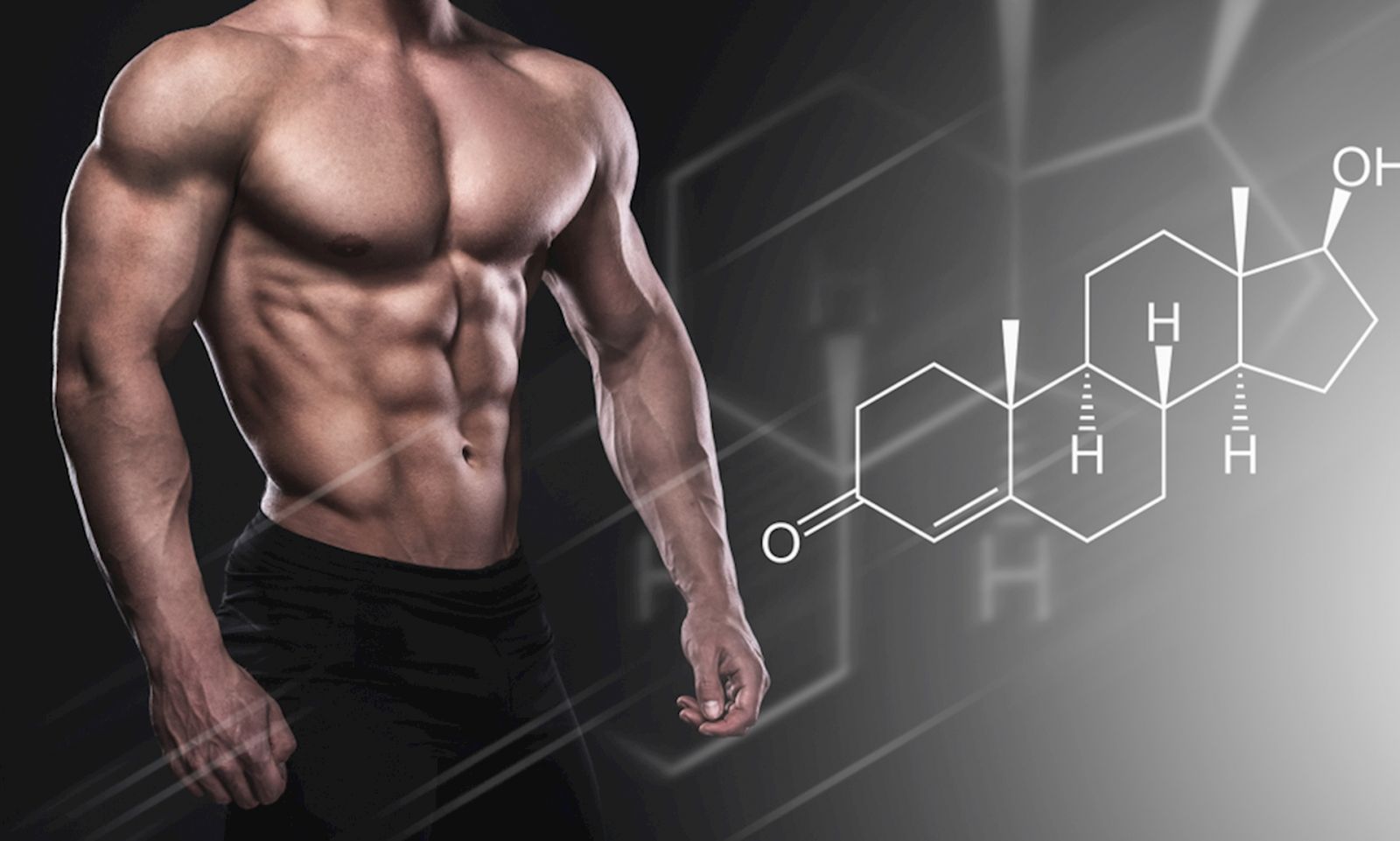 Testosterone đóng vai trò quan trọng trong việc xây dựng và phát triển cơ bắp
