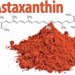 Astaxanthin là chất chống oxy hóa thuộc nhóm hóa chất carotenoid