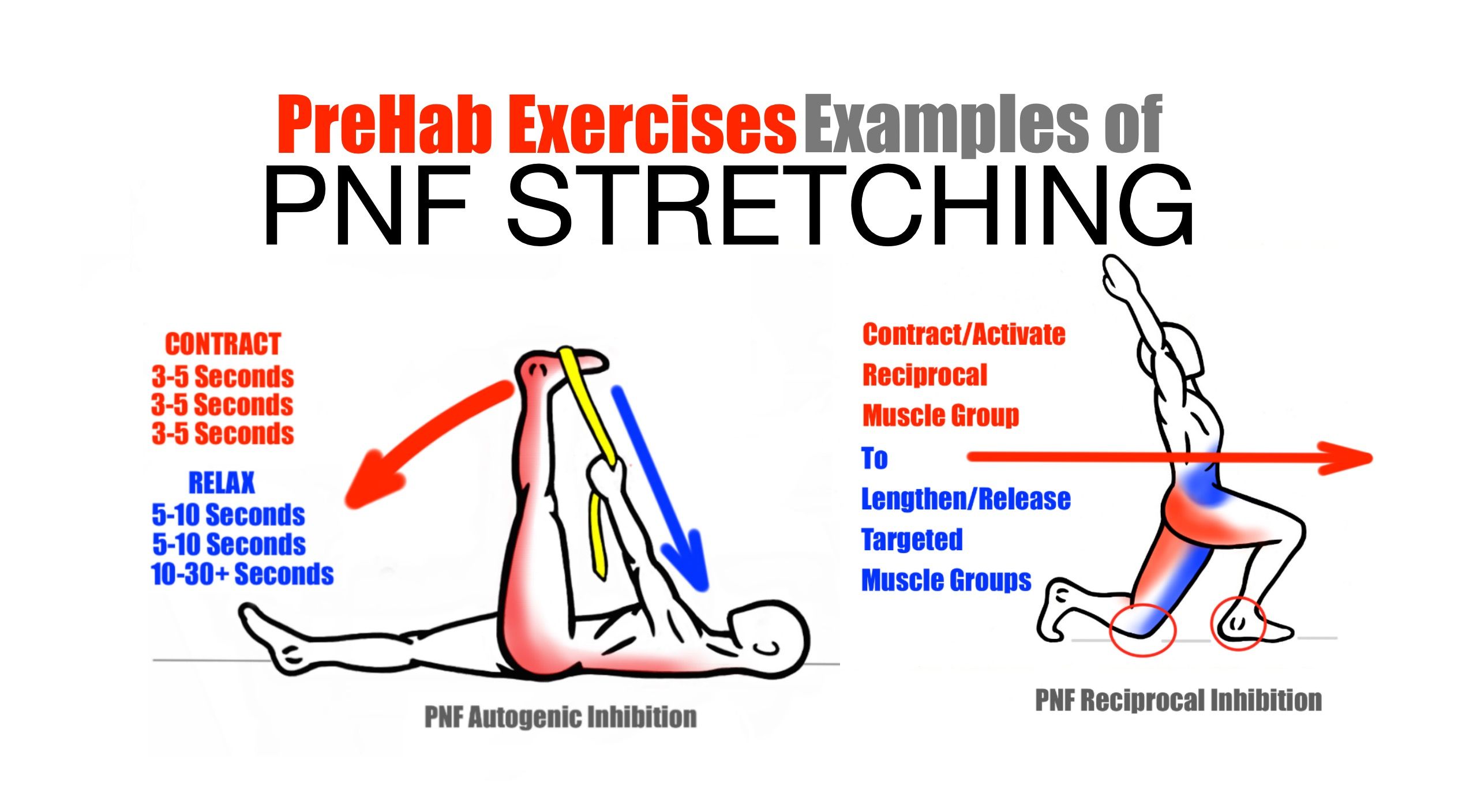 Một số bài tập PNF Stretching