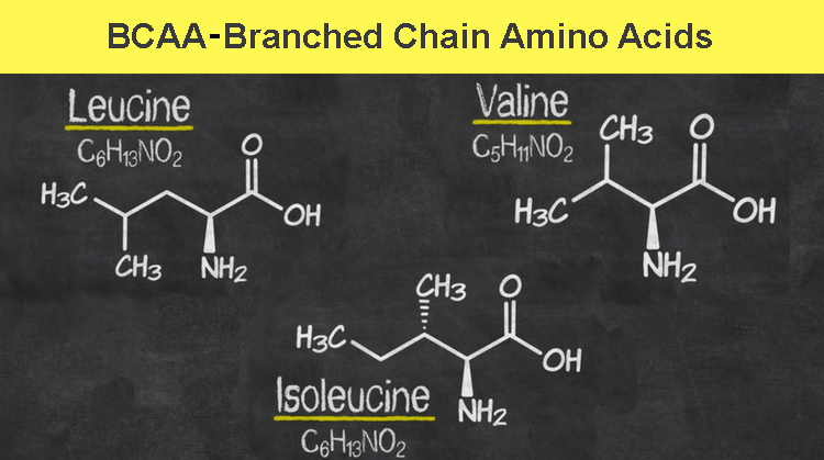 Cấu tạo lên BCAA gồm Leucine, Isoleucine và Valine