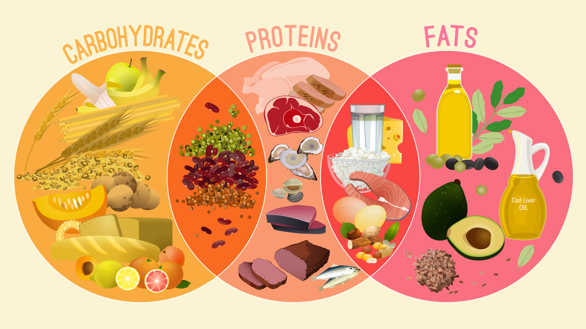 Carbohydrate là 1 trong 3 chất dinh dưỡng đa lượng bên cạnh protein và chất béo. 