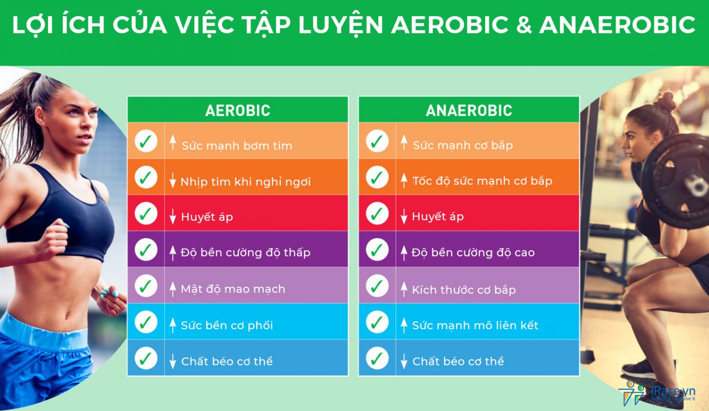 Lợi ích của việc tập luyên aerobic và anaerobic đem lại