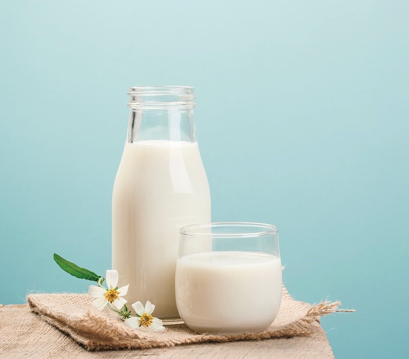 Sữa là nguồn protein chất lượng cao có nhiều canxi, photpho và riboflavin