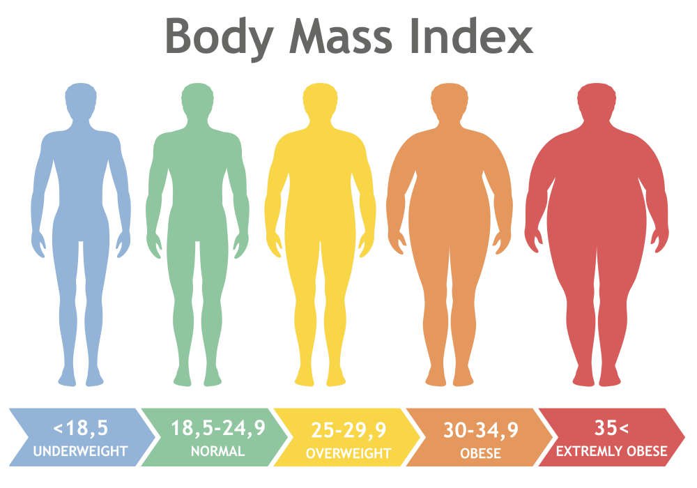 Nghiên cứu về chỉ số BMI để đánh giá thể trạng cơ thể con người