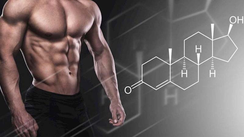 Steroid đồng hóa -  dạng testosterone tổng hợp được cơ thể người sản xuất tự nhiên 